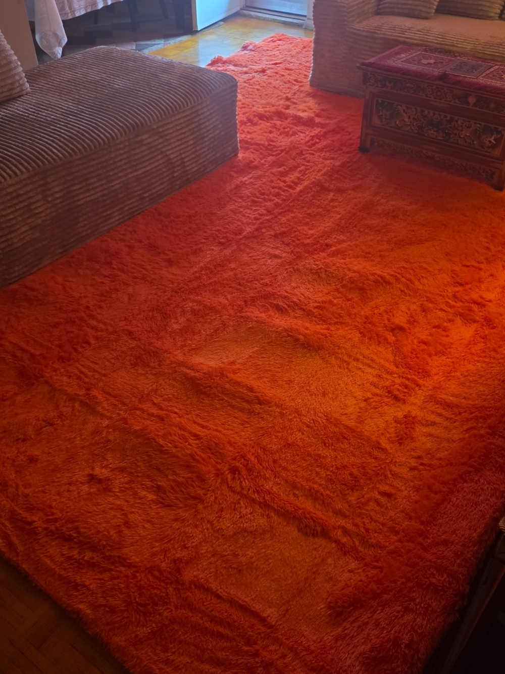 10×14 ft Orange Shag Rug – Brand New, Super Soft 🧡